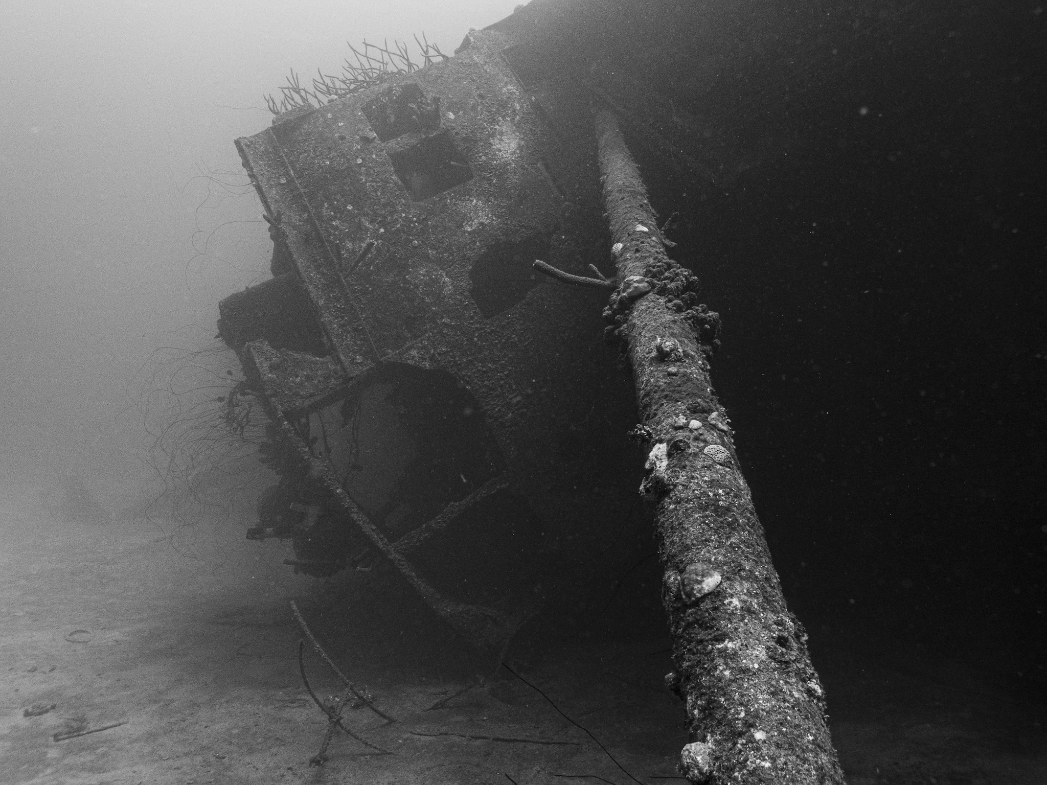 Ruud Verhees background image